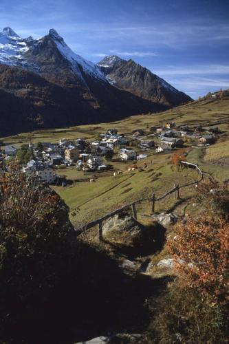 Hotel Grauson