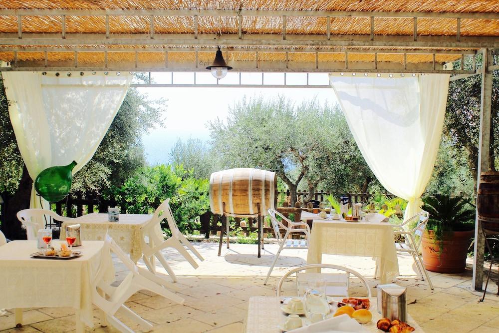 Amoru Bed & Breakfast