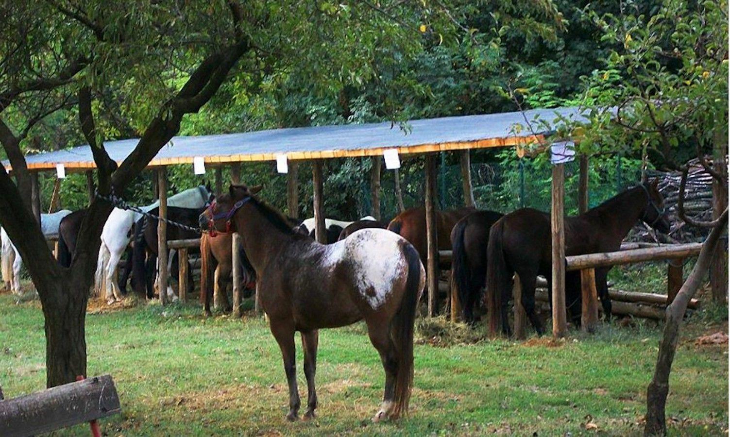 Bed and Breakfast La Quiete