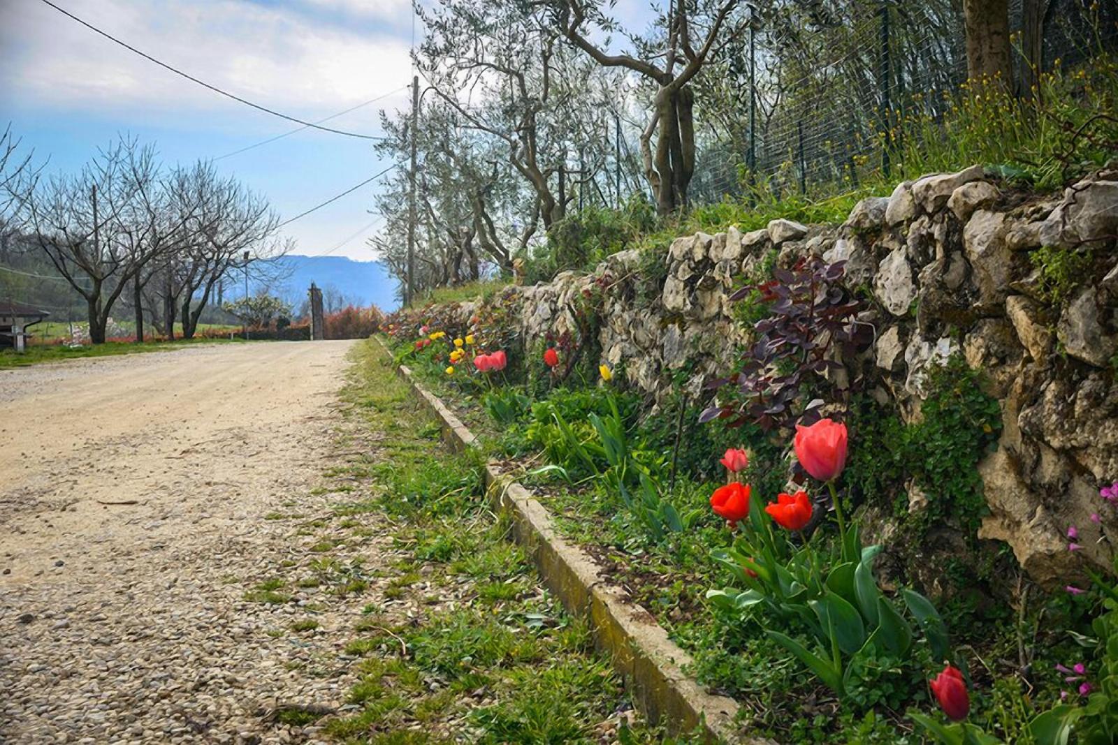 Bed and Breakfast La Quiete