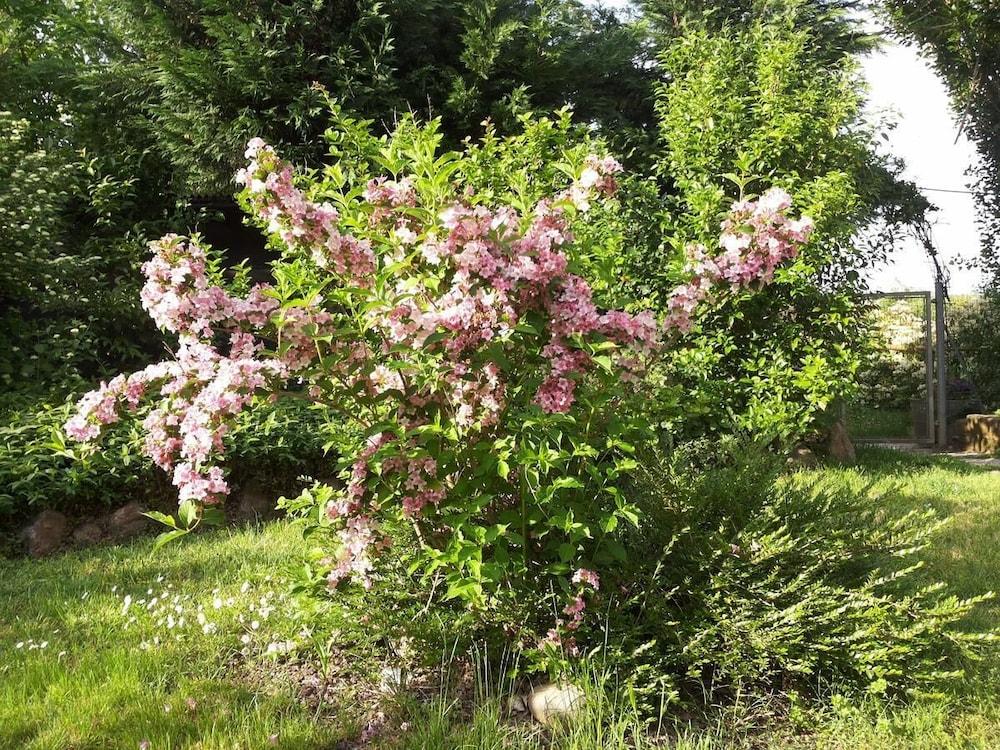 I Pioppi Cipressini