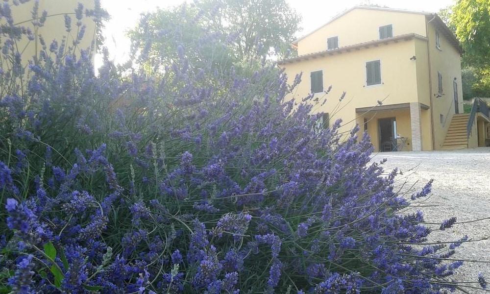 Agriturismo Il Truffarello
