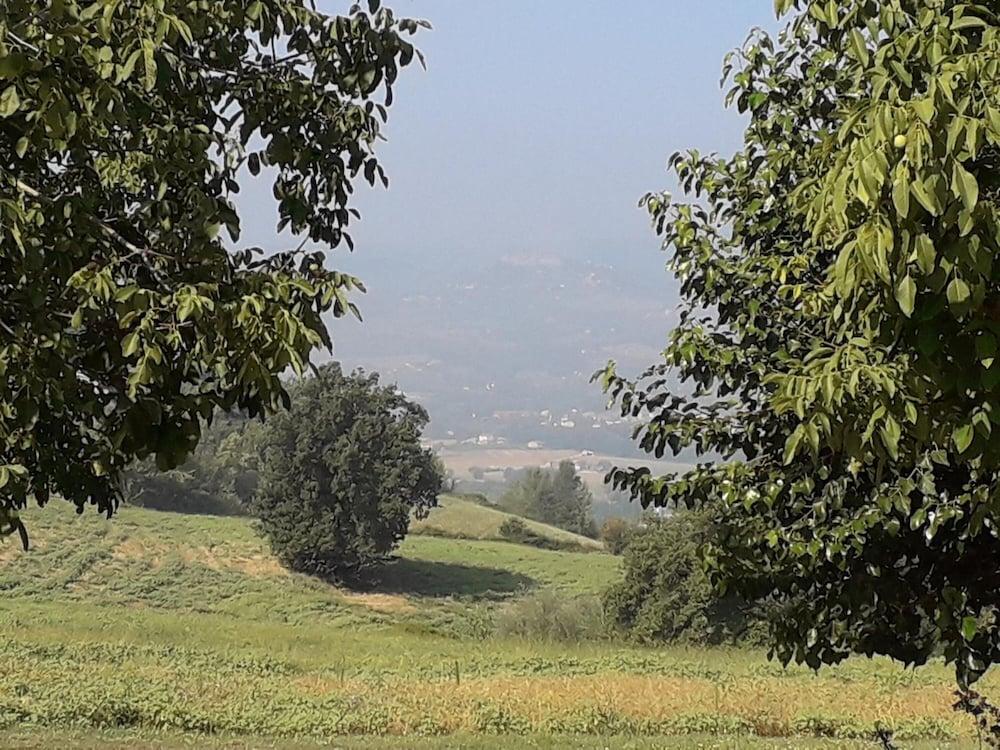 Agriturismo Il Truffarello