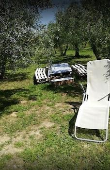 Agriturismo Il Truffarello