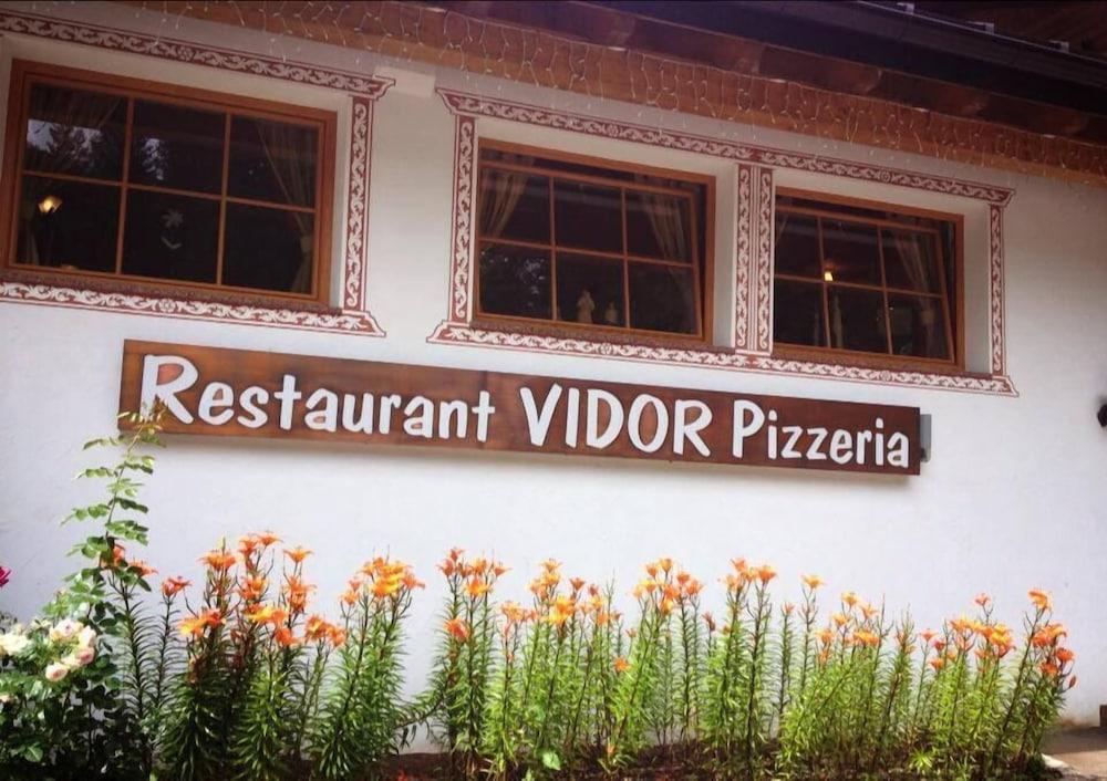 Vidor