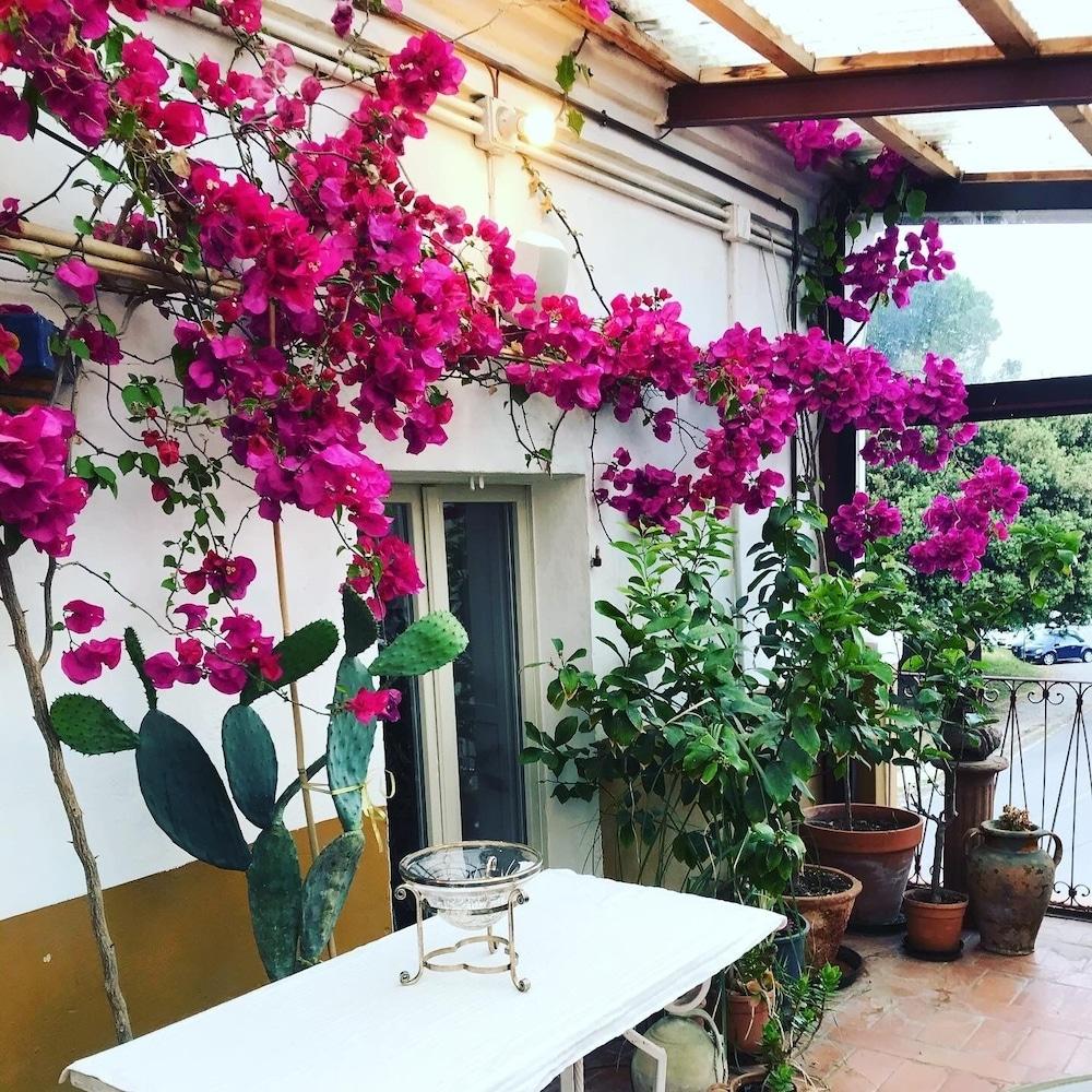 B&B Le Conce