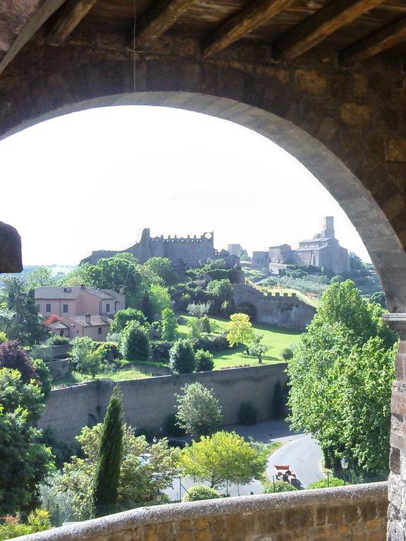 B&B Il Vigneto Tuscania
