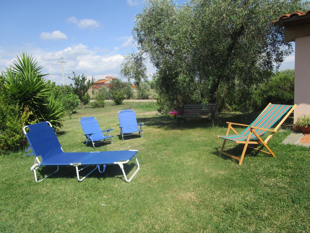 B&B Il Vigneto Tuscania