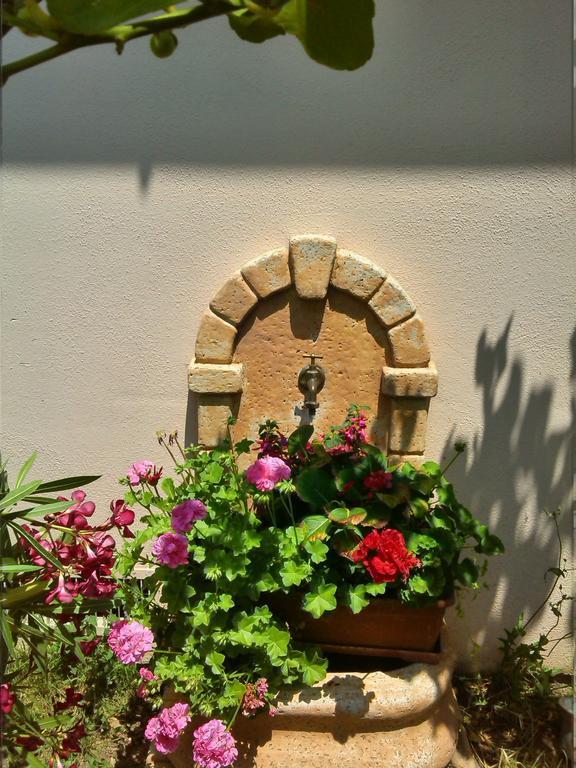 B&B Il Vigneto Tuscania