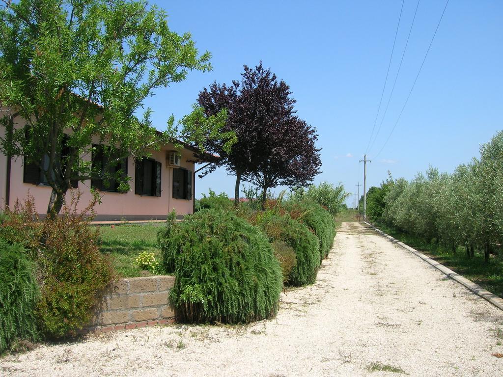 B&B Il Vigneto Tuscania