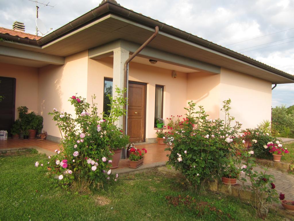 B&B Il Vigneto Tuscania