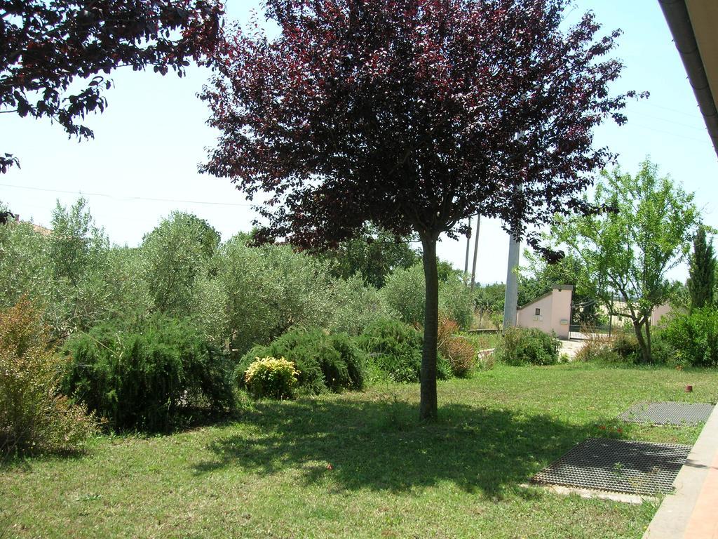 B&B Il Vigneto Tuscania