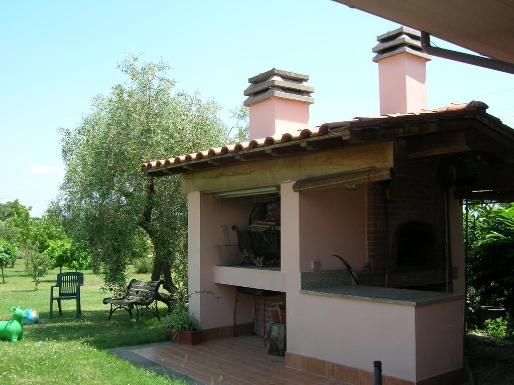 B&B Il Vigneto Tuscania