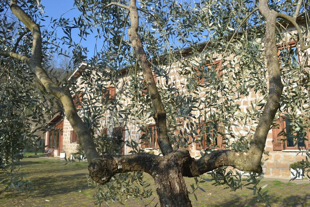 Le Forre Del Treja Agriturismo
