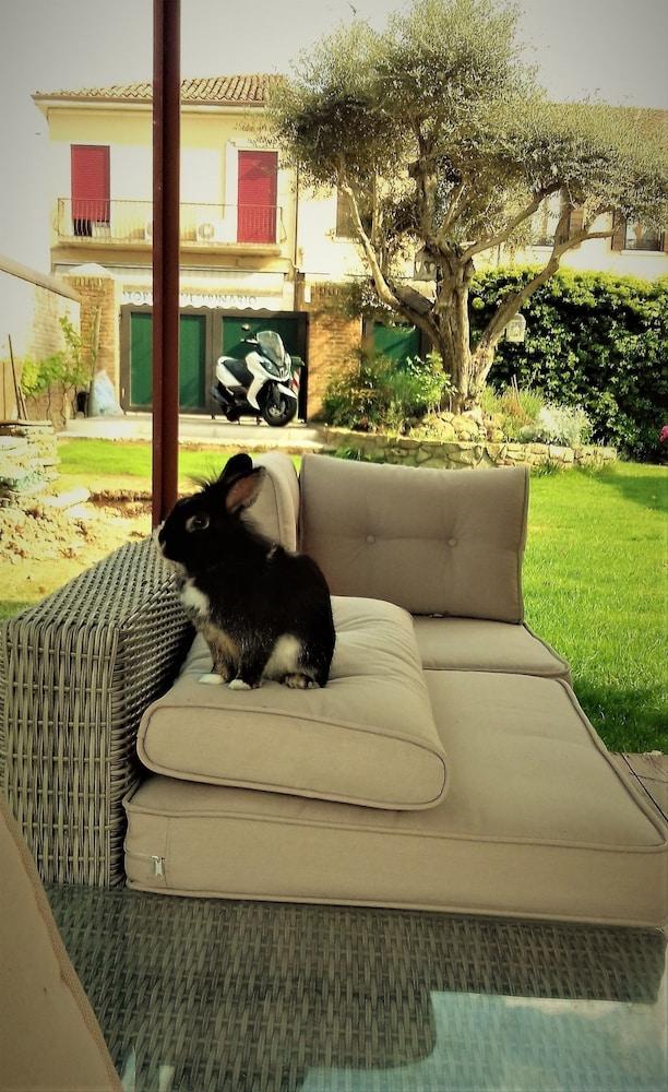Villa Alessi B&B