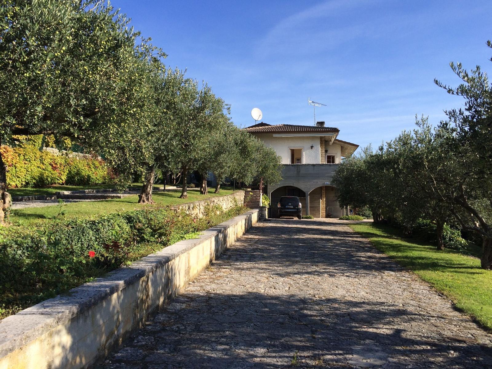 Valpolicella Hills
