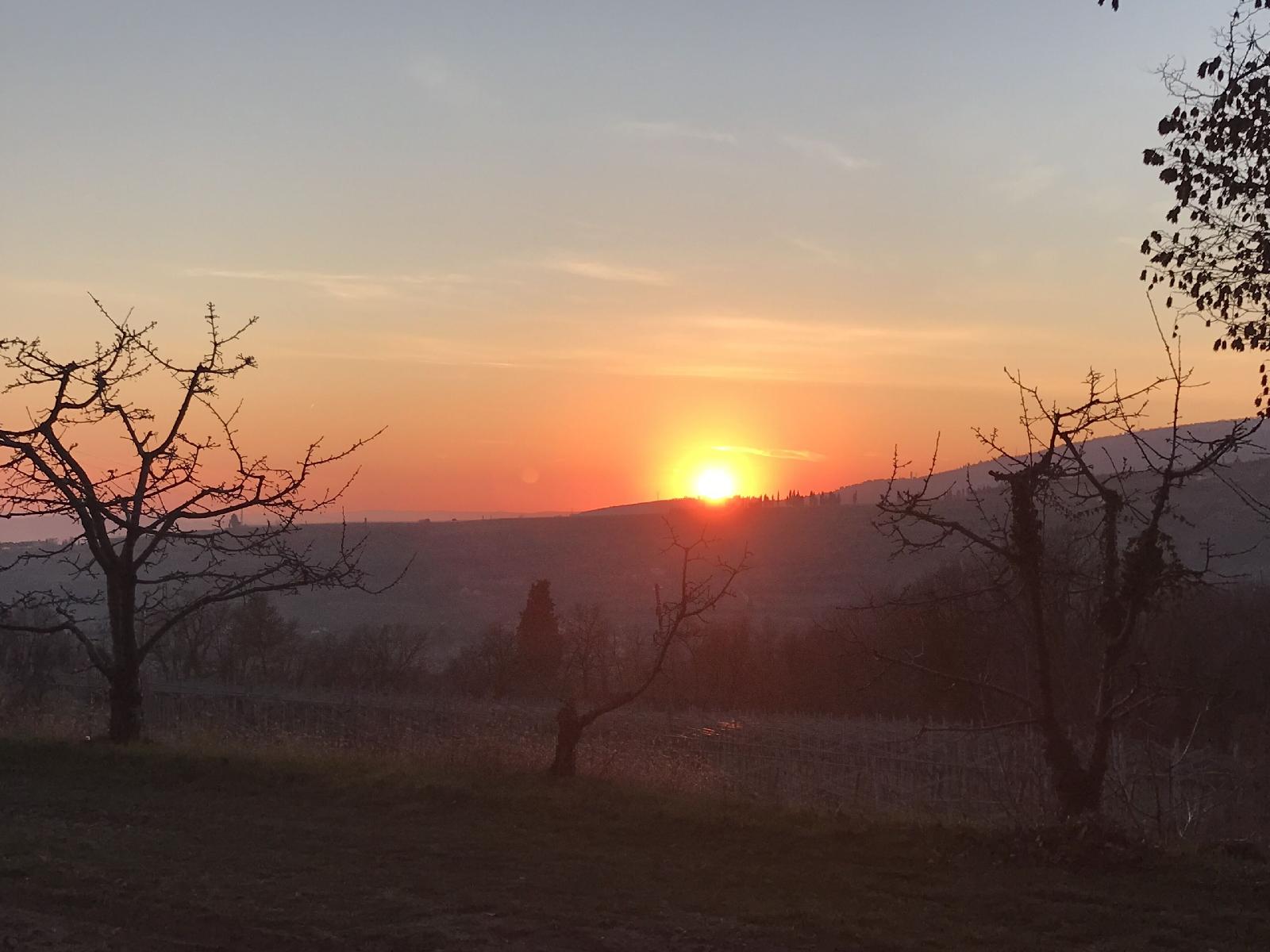 Valpolicella Hills