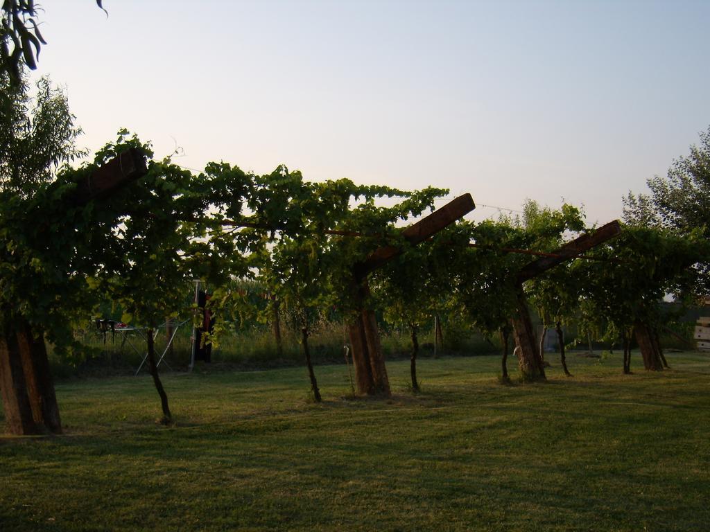 Lantico Casale Dei Sogni