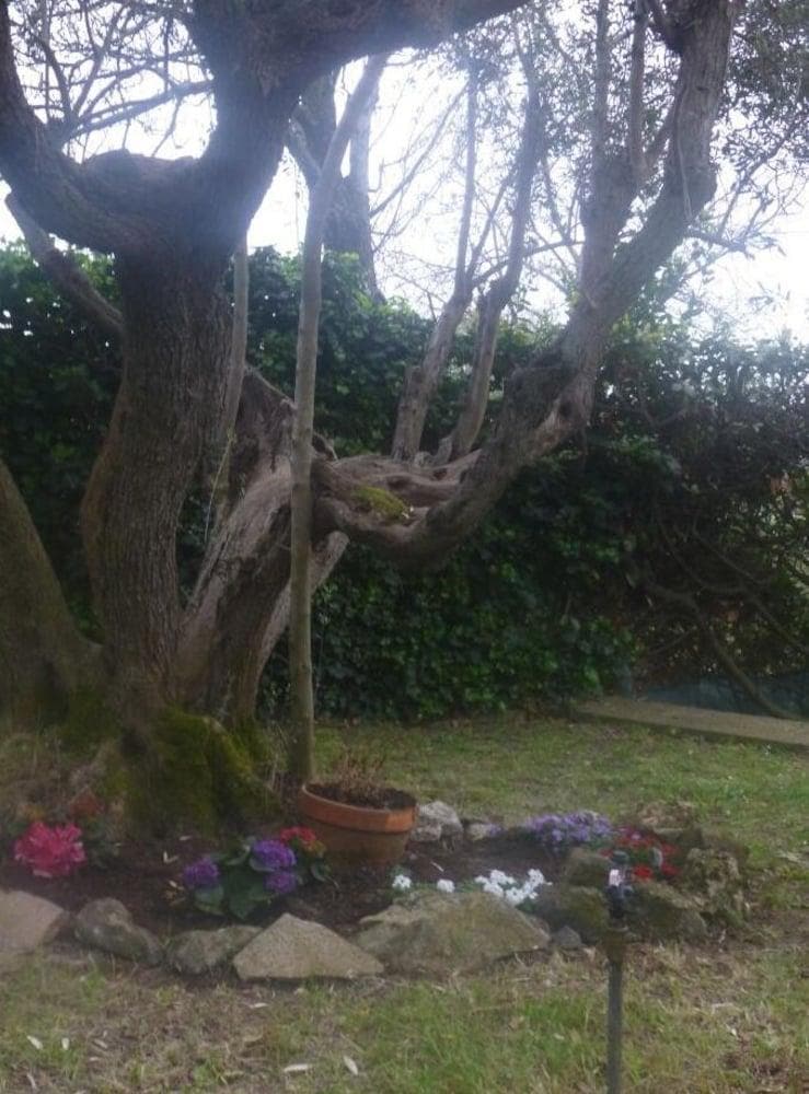 La Casa di Lili