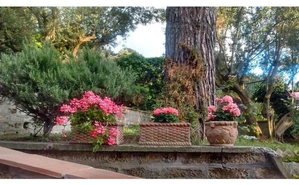 La Casa di Lili