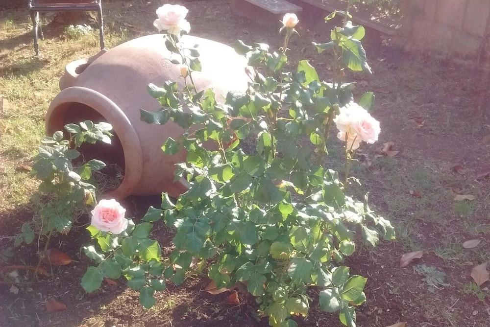 La Casa di Lili