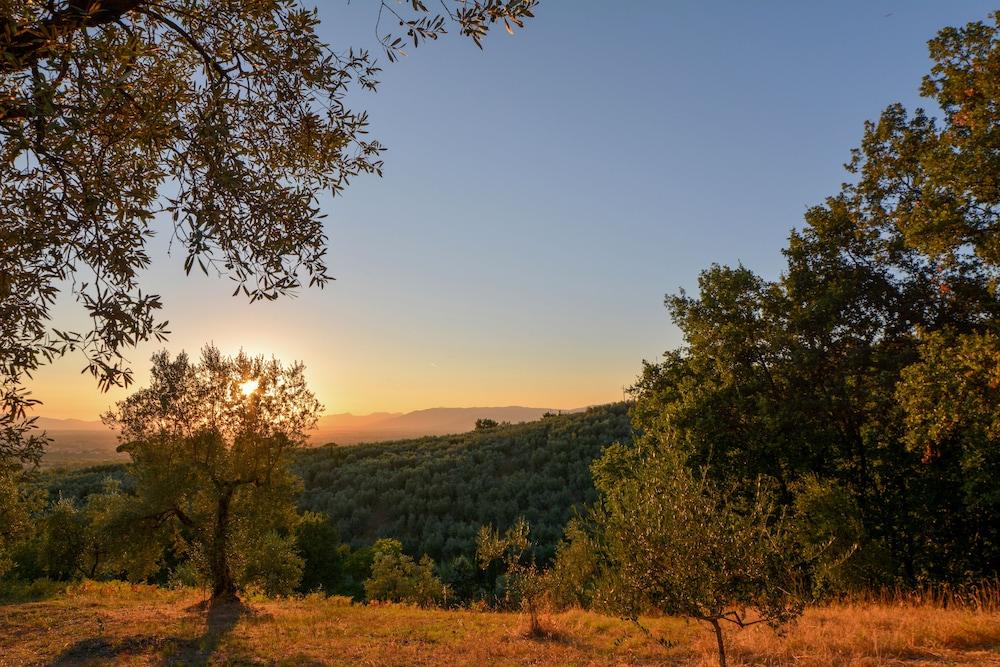 Podere Rondinaio