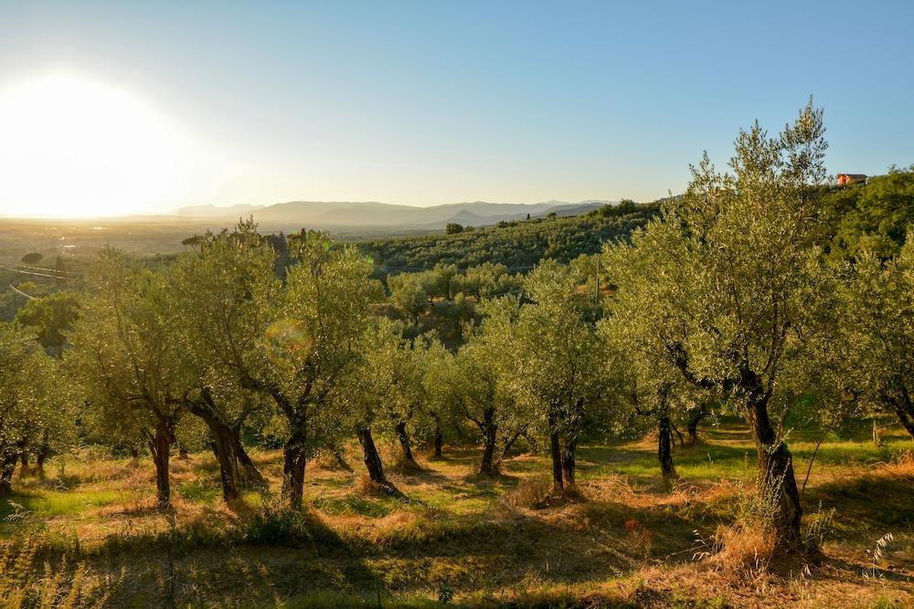 Podere Rondinaio