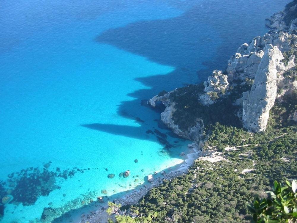 B&B Issicoro