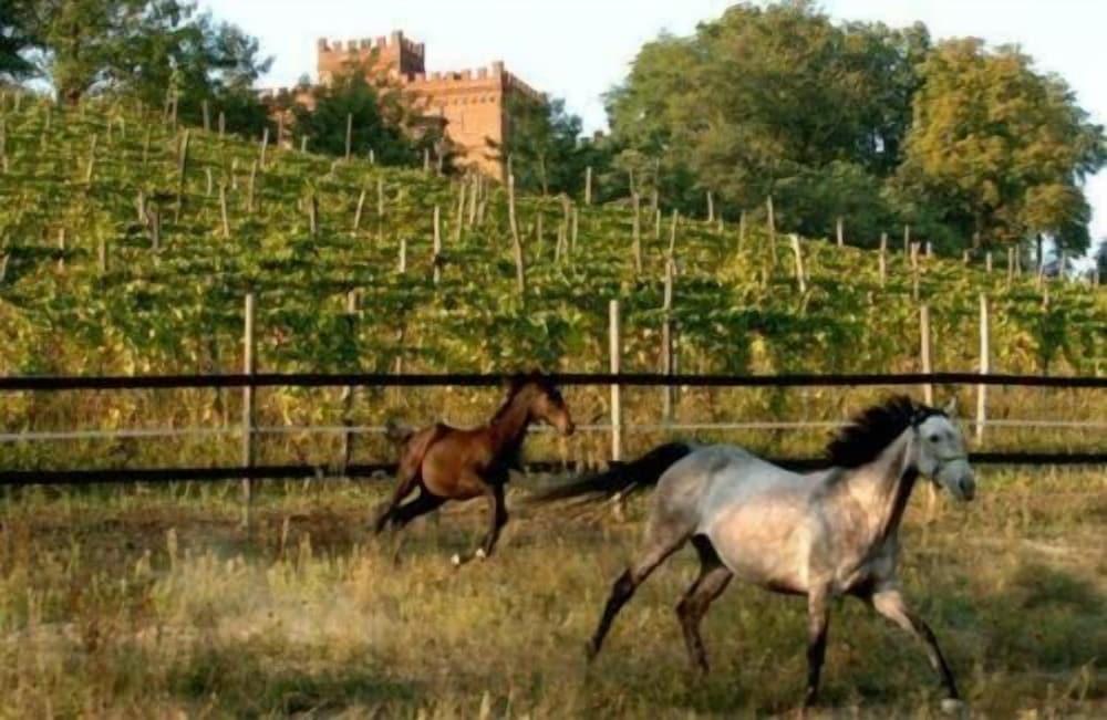 La Cascina del Castello
