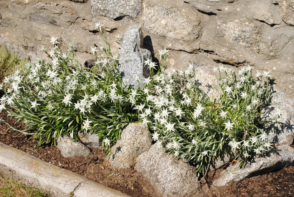 Rifugio Alpino