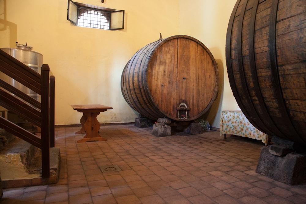L'Antica Vigna