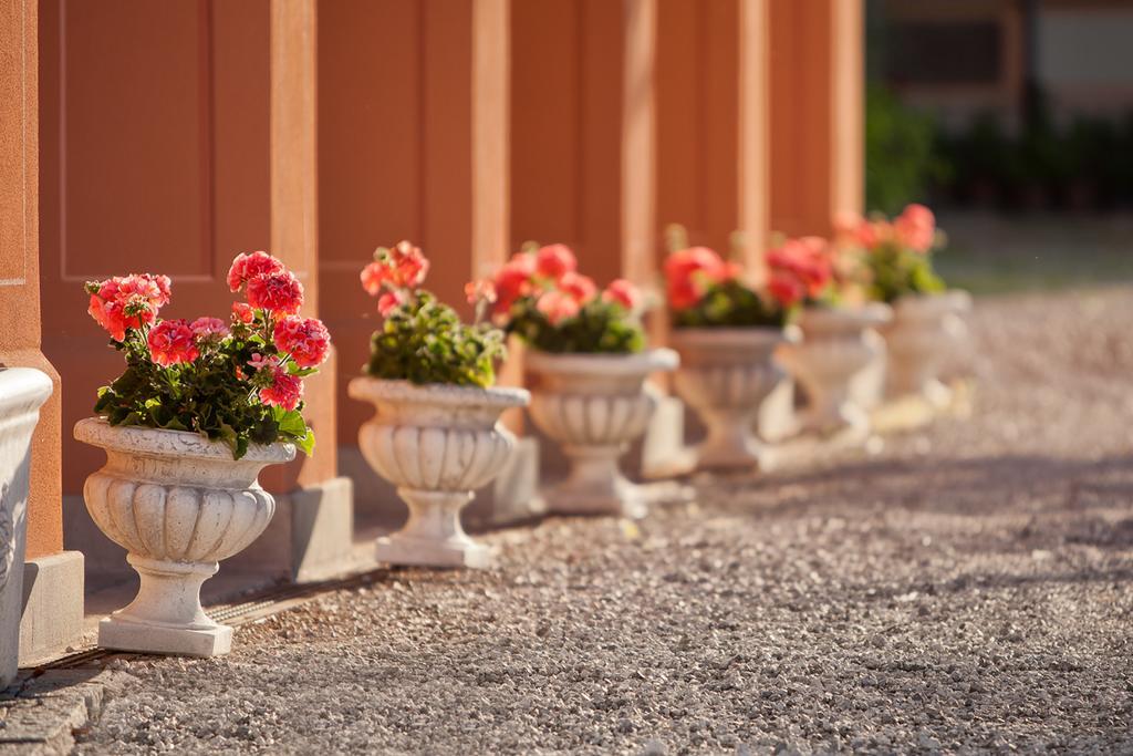 B&B Principessa Di Savoia