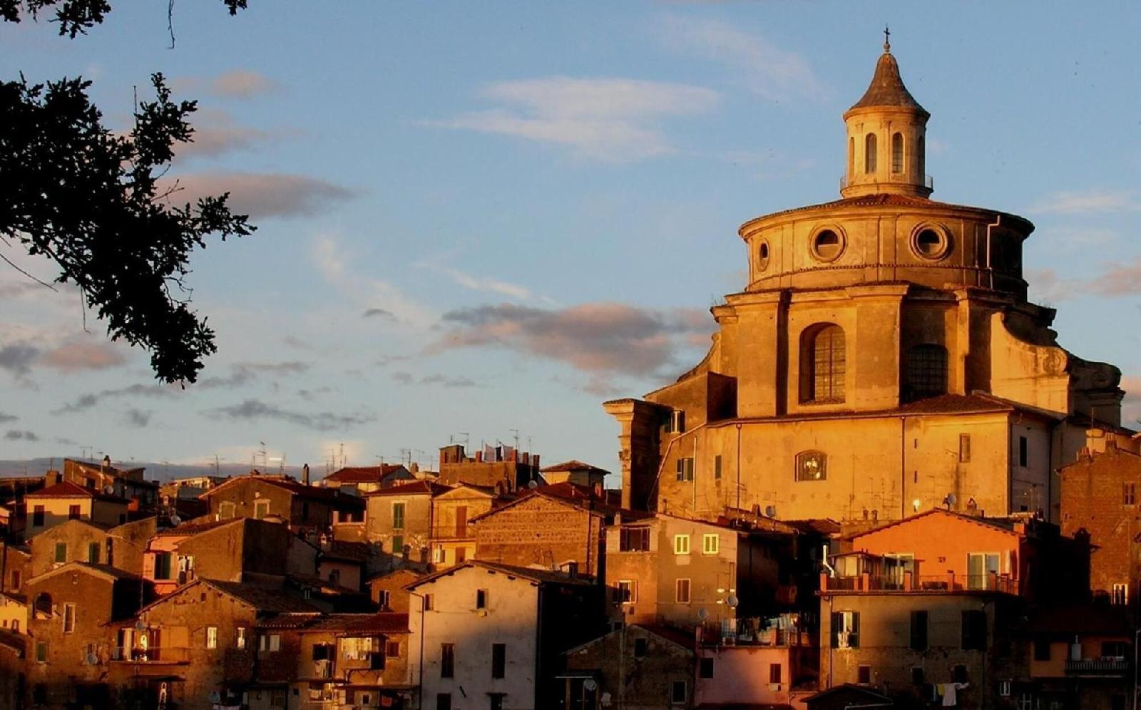 Olive Tree Hill
