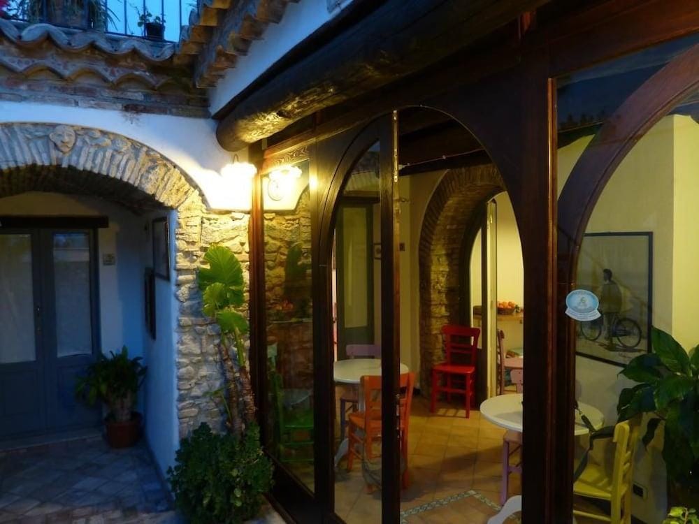 B&B Amphisya