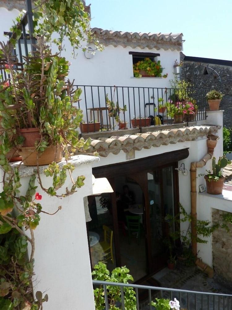 B&B Amphisya