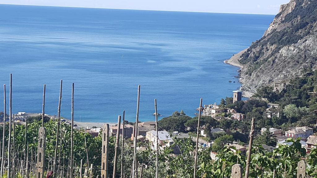 La Muraria