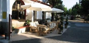 Villaggio Camping Orchidea