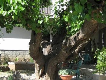 Hotel Da Rosanna