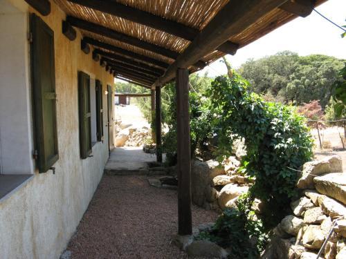 La Macciona