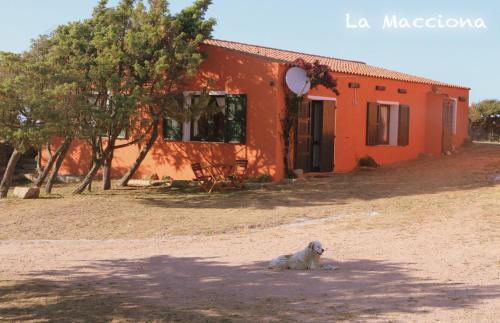 La Macciona