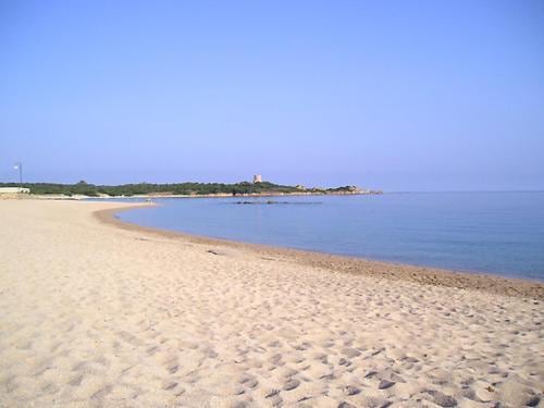 La Macciona