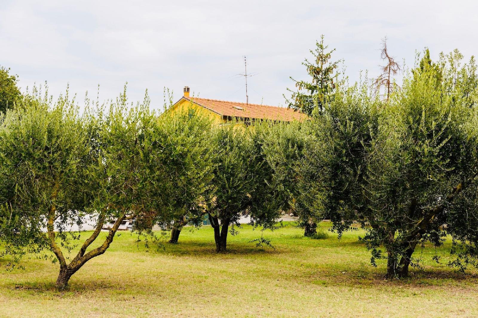 Il Casale di Nonno Guido