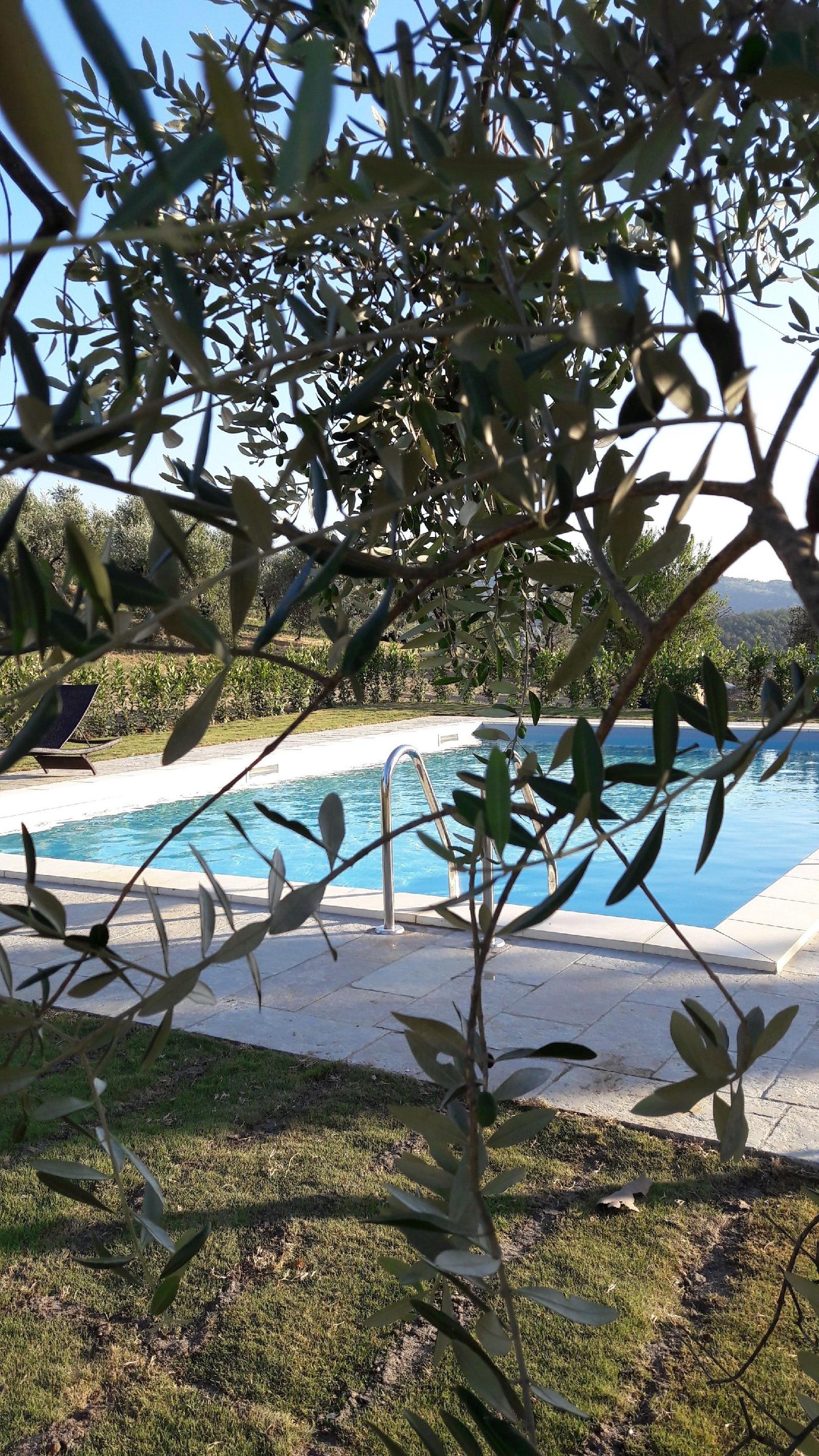 B&B Villa Agnolaccio