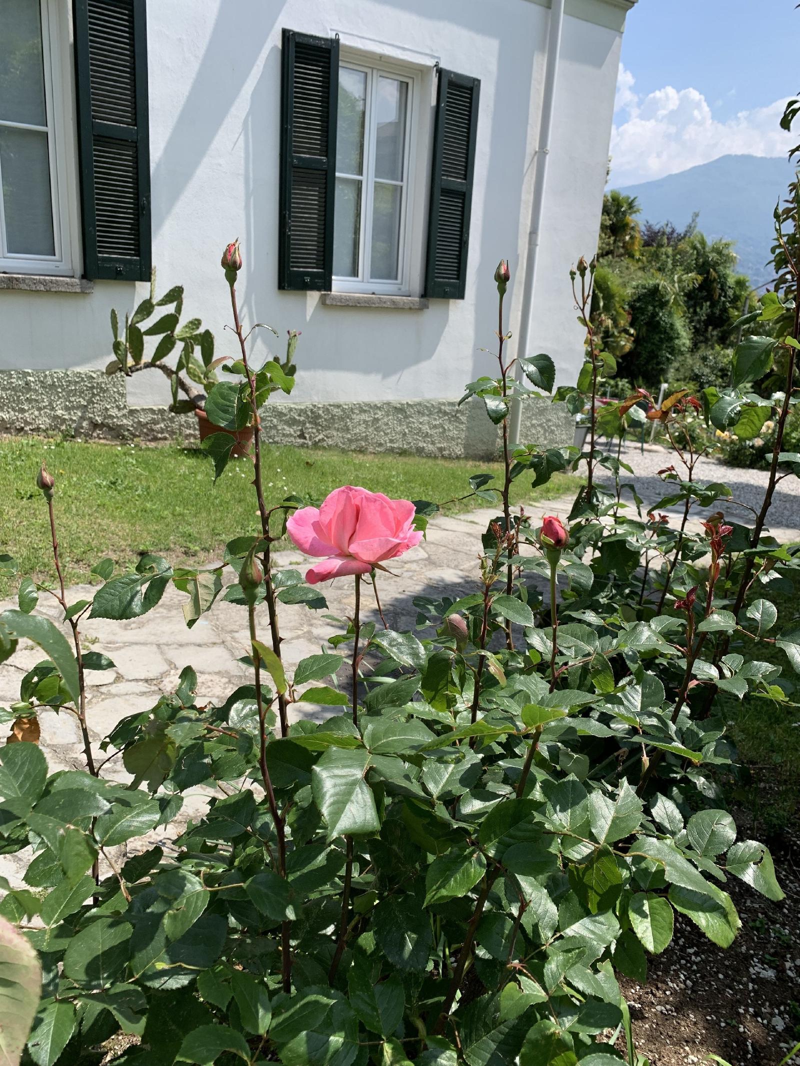 Hotel Loveno