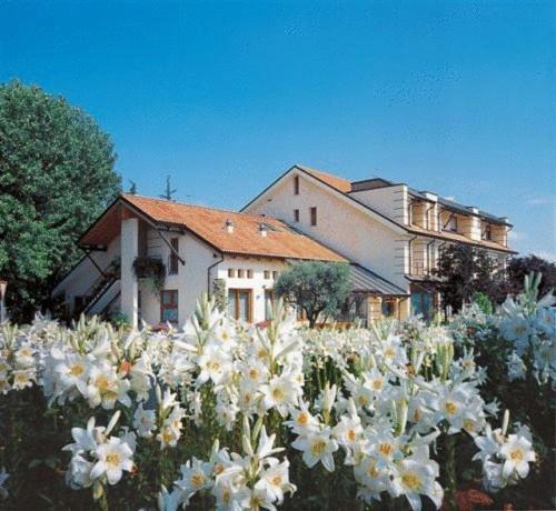 Ca' Delle Rose
