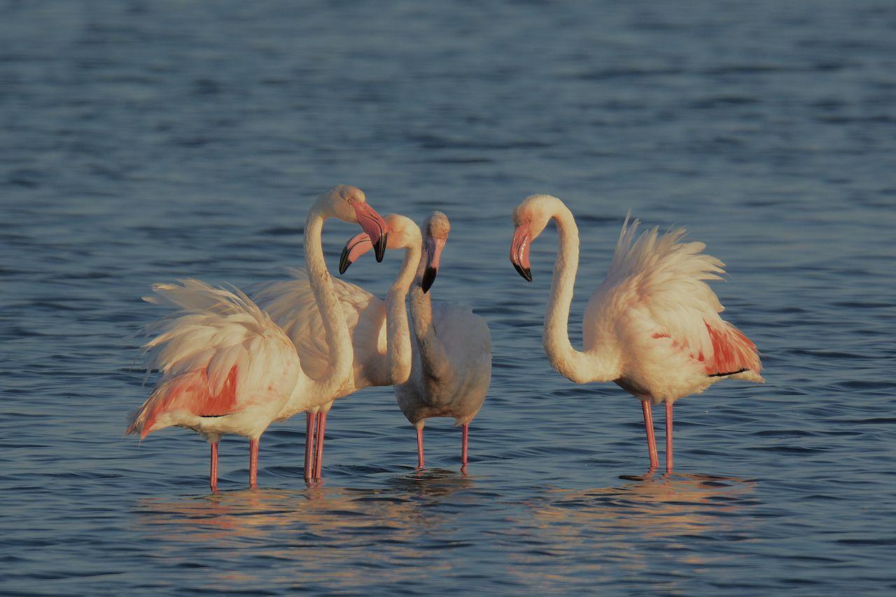 Casolare Nelle Saline