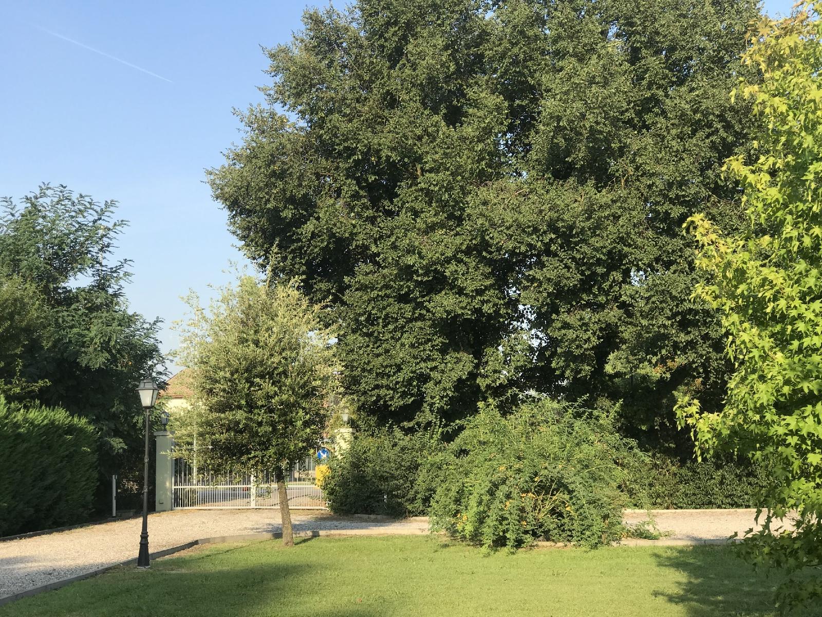 Villa Pepoli Country House
