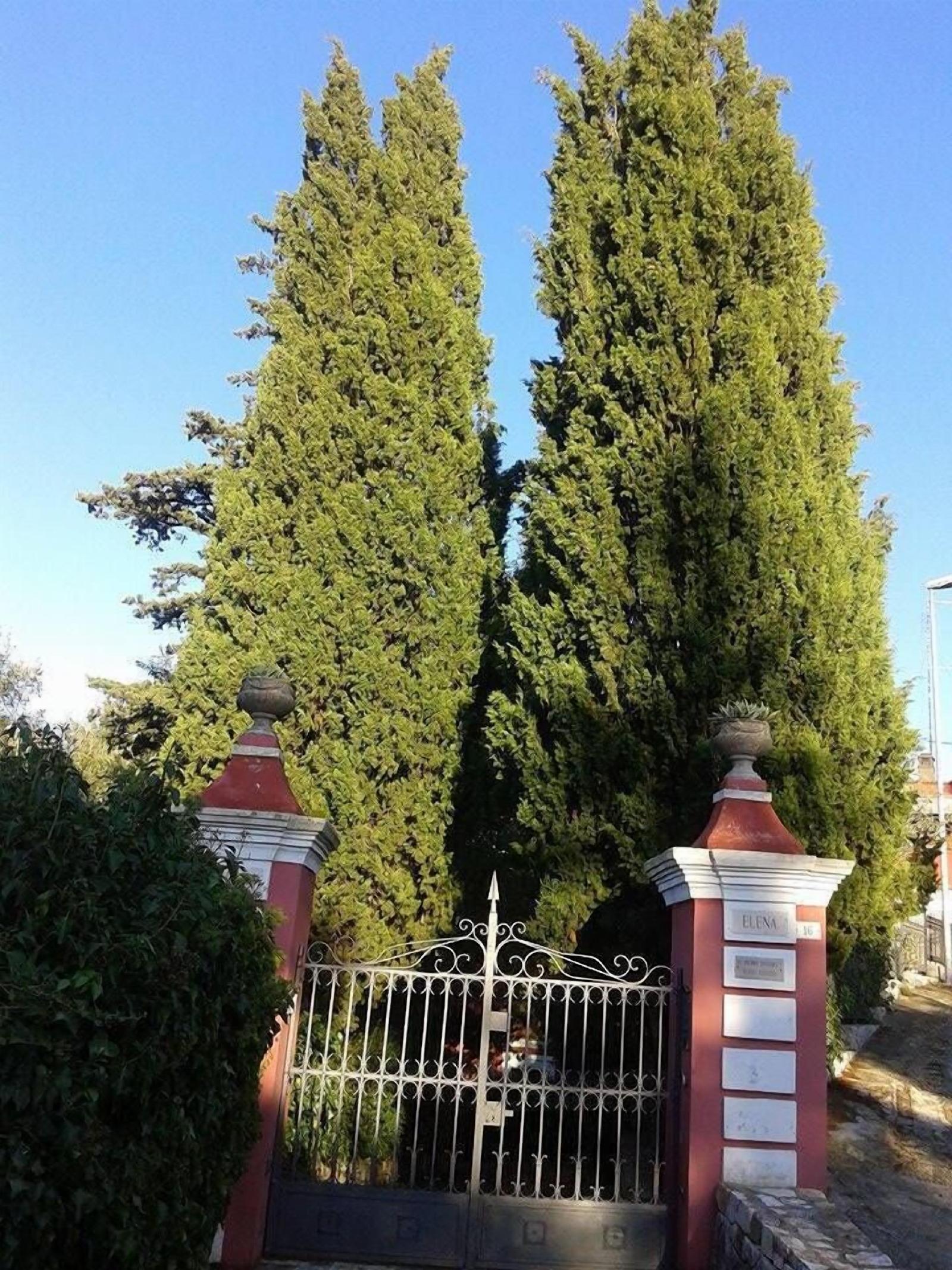 Villa Elena B&B Di Charme