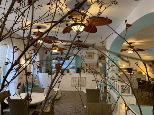 Hotel Elena Noli