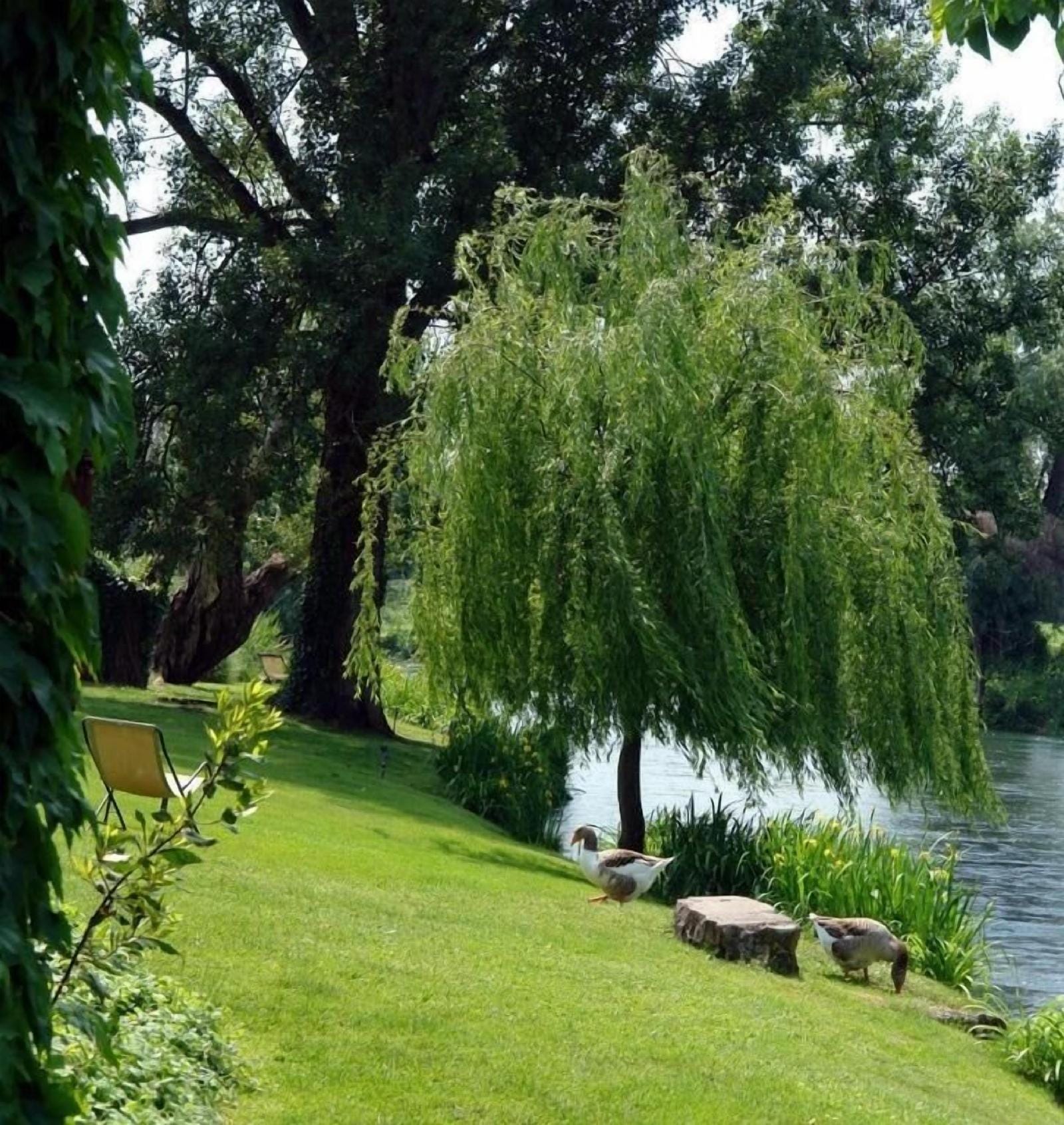 La Finestra Sul Fiume B&B